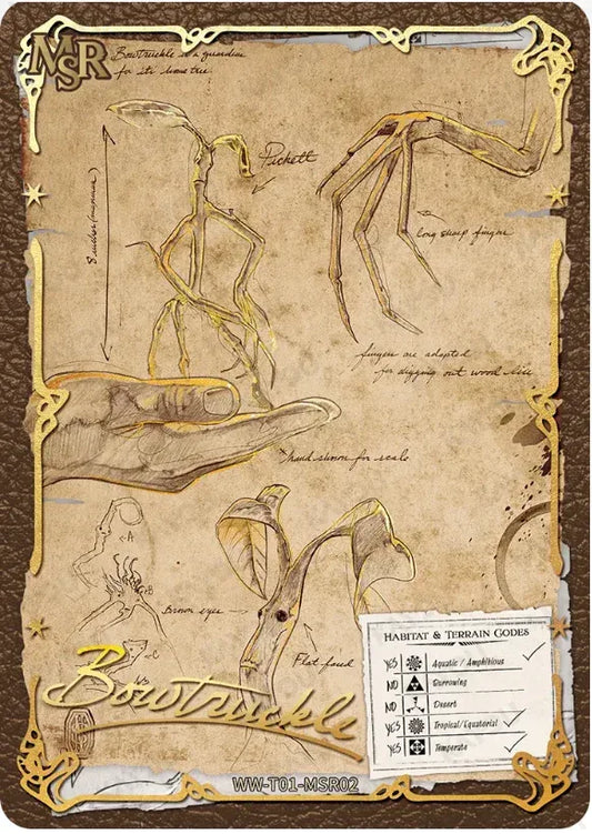 KAYOU Harry Potter L3 MSR Set - FansTradingCards