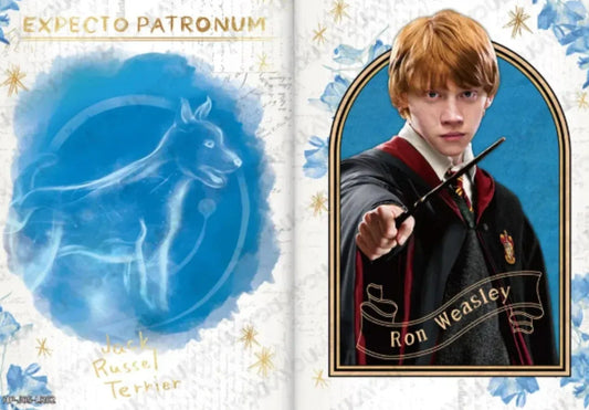 KAYOU Harry Potter L4 LR Card (EX05) (Pull-Rate: 5.56%)
