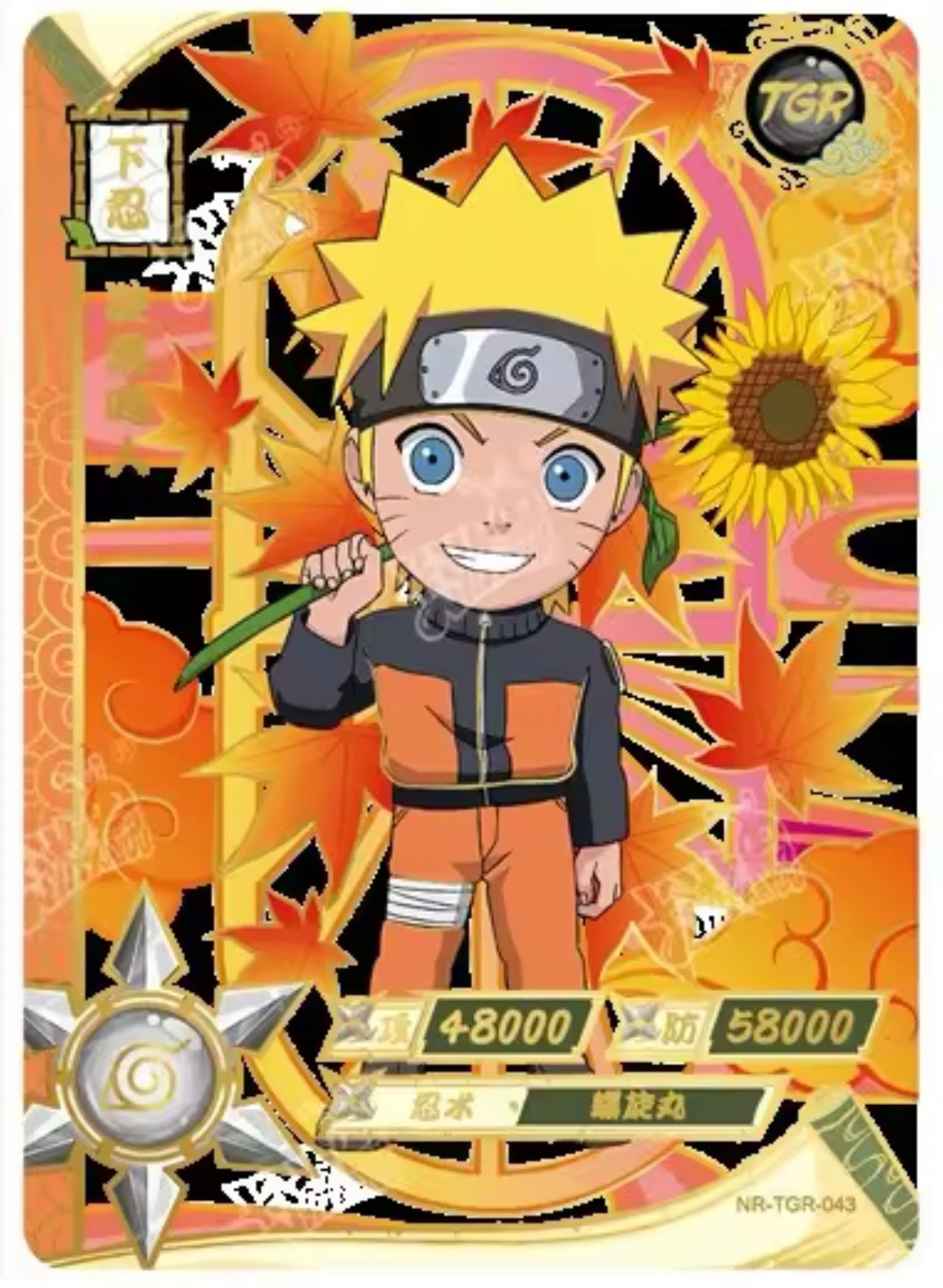 Juego de TGR KAYOU Nivel 4 (001-044)