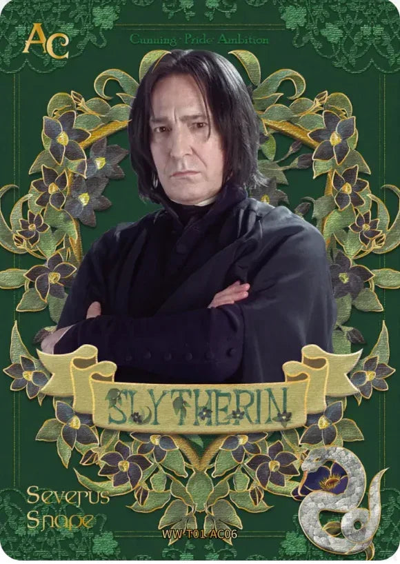 KAYOU Harry Potter L4 AC Set - FansTradingCards