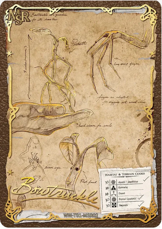 KAYOU Harry Potter L3 MSR Set - FansTradingCards