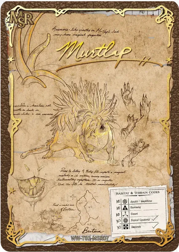 KAYOU Harry Potter L3 MSR Set - FansTradingCards