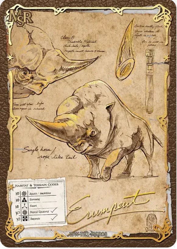 KAYOU Harry Potter L3 MSR Set - FansTradingCards
