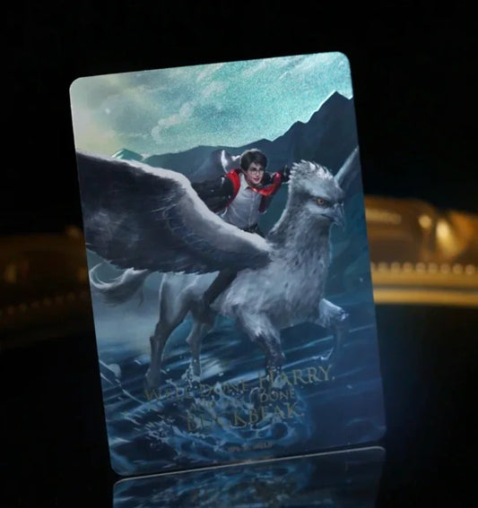 KAYOU Harry Potter EX04 Box L5 SC Set - FansTradingCards