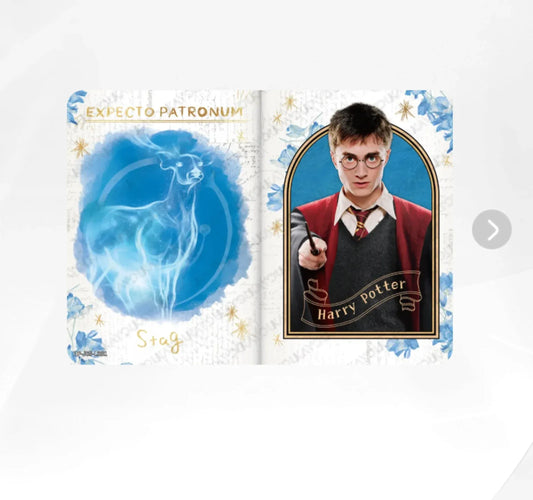 KAYOU Harry Potter L4 LR Card (EX05) (Pull-Rate: 5.56%)
