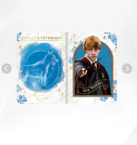 KAYOU Harry Potter L4 LR Card (EX05) (Pull-Rate: 5.56%)