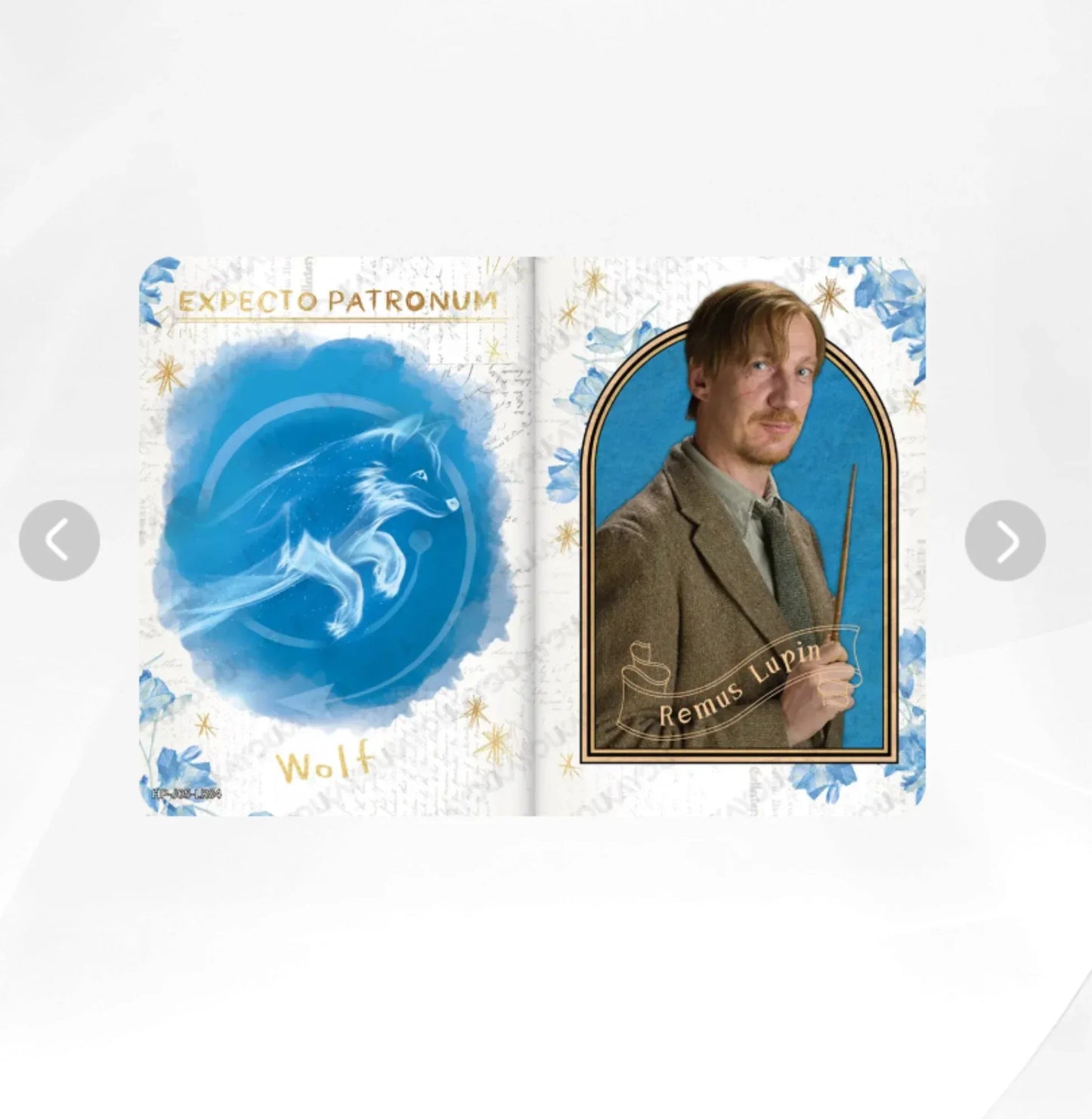 KAYOU Harry Potter L4 LR Card (EX05) (Pull-Rate: 5.56%)