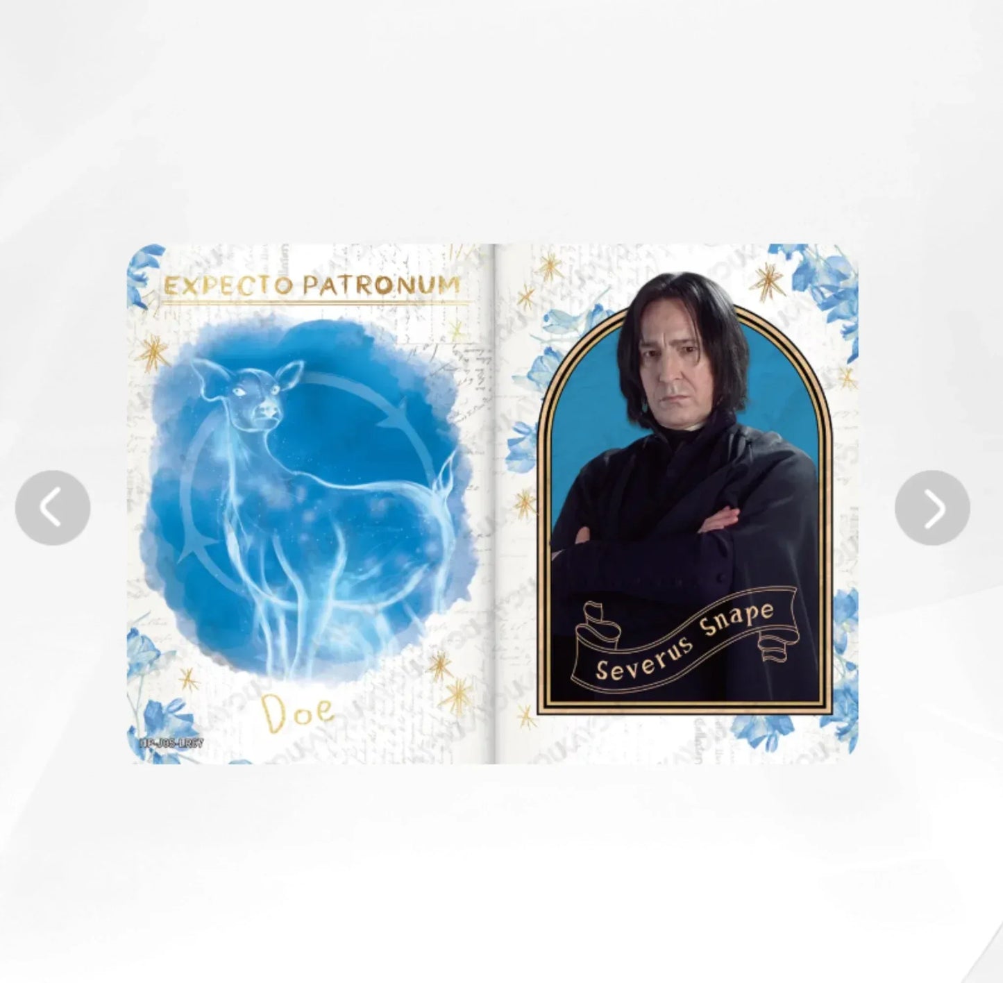 KAYOU Harry Potter L4 LR Card (EX05) (Pull-Rate: 5.56%)