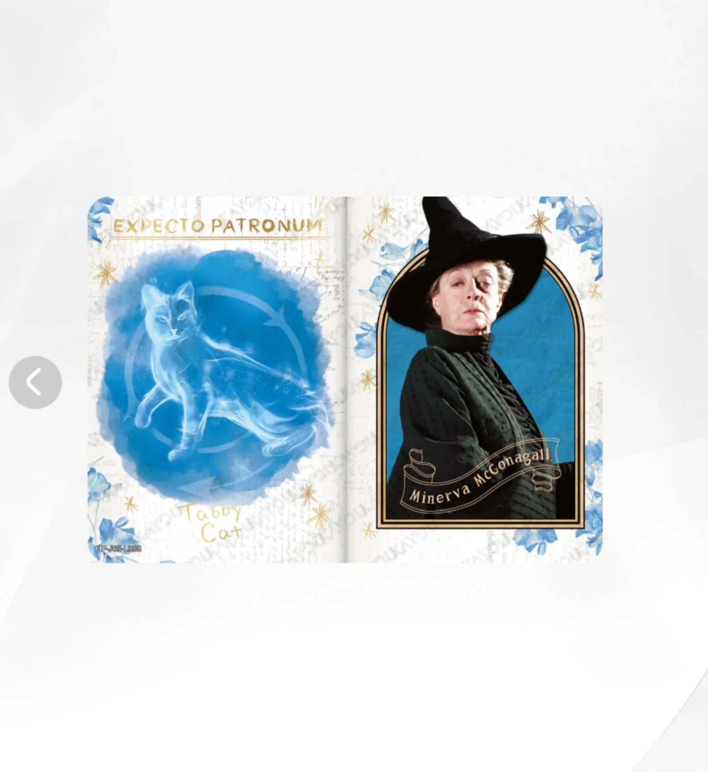 KAYOU Harry Potter L4 LR Card (EX05) (Pull-Rate: 5.56%)