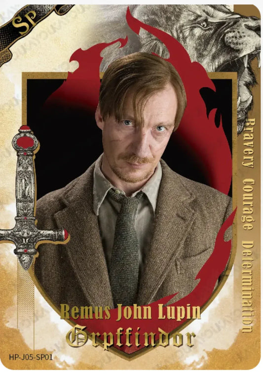 KAYOU Harry Potter L5 SP Card (EX05) (Pull-Rate: 0.46%)
